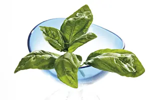 Spice Nutrition Facts Stampe: Basil