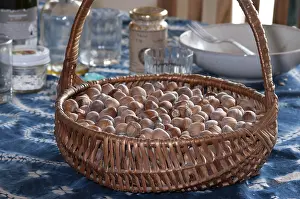 Grocery Shopping Essentials Stampe: Basket full of hazelnuts on the table