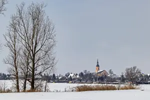 Winter Day Scenery Stampe: Bauda