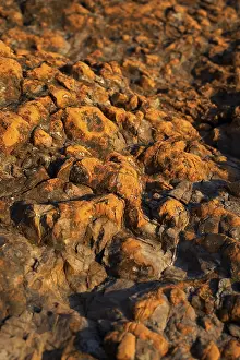 Beach Landscape Photography Stampe: Detail from a beach