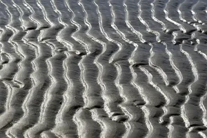 Norderney Coastline Stampe: Beach at low tide with wave-like pattern