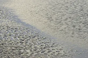 Northern Germany Shoreline Stampe: Beach at low tide with wave-like pattern