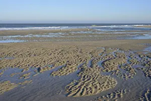 Wavy Sand Pattern Stampe: Beach at low tide with wave-like pattern