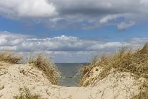 Baltic Sea Coastline Stampe: Beach path