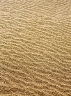 Uninhabited Coastal Landscape Stampe: Beach sand waves warm texture pattern background