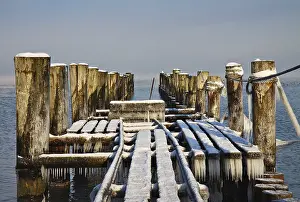 Coastal Protection Germany Stampe: On the beach at Zingst
