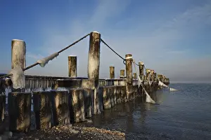 Coastal Protection Germany Stampe: On the beach at Zingst