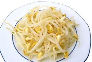 Vegetarian Plate Ideas Stampe: Bean sprouts