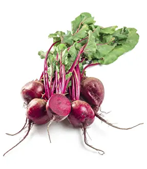 Fresh Beets Stampe: Beet, beetroot bunch on white background