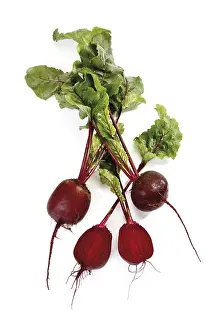 Beetroot Nutrition Stampe: Beetroot