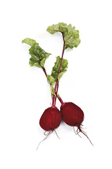 Beetroot Nutrition Stampe: Beetroot
