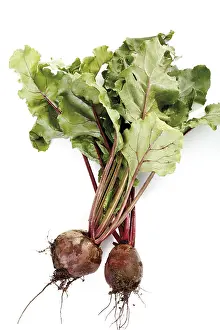 Cut Out Vegetable Images Stampe: Beetroot