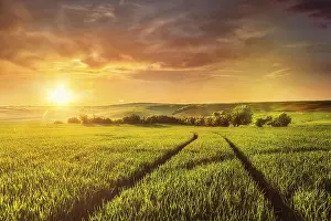 Lens Flare Photography Stampe: Beuatiful sunset in fields of Moravia