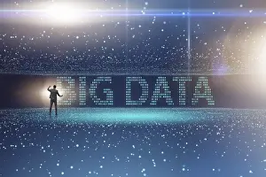 Big Data Analysis Stampe: Big data concept with data mining analyst