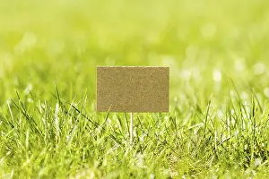 Green Grass Background Stampe: Blank mini paper pointer in a green grass