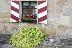 Uninhabited Bavarian Landscape Stampe: Blooming hosta in front of a window