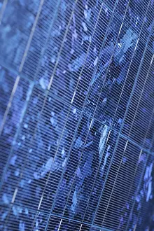 Alternative Power Generation Stampe: Detail of a blue solar panel. Suitable for background