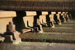 Deserted Railway Section Stampe: Bolt