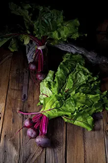 Athletic Meal Ideas Stampe: Botwina, Rustic Young Beetroot