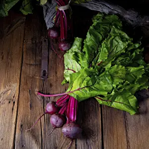 Beetroot Still Life Stampe: Botwina, Rustic Young Beetroot
