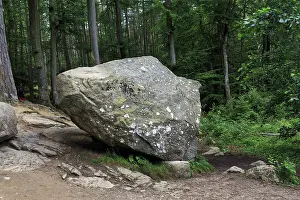 Danish Countryside Photography Stampe: Boulder, boulder in the forest