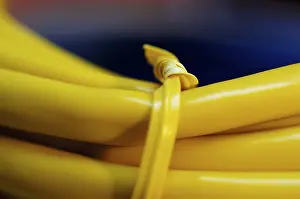 Computer Hardware Equipment Stampe: Together bounded coloured network cable for computer