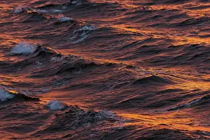Arctic Ocean Evening Light Stampe: Bow waves in the evening light