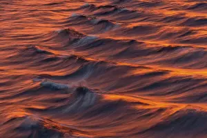 Arctic Ocean Evening Light Stampe: Bow waves in the evening light