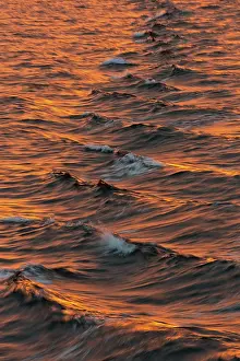 Arctic Ocean Evening Light Stampe: Bow waves in the evening light