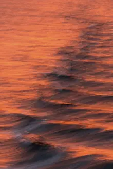 Arctic Ocean Evening Light Stampe: Bow waves in the evening light