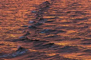 Northern Europe Waterfront Scene Stampe: Bow waves in the evening light