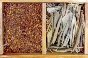Vegan Diet Meal Ideas Stampe: Box with set of different types tea