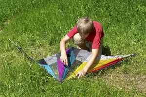 Flying A Stunt Kite Stampe: Boy assembles a stunt kite