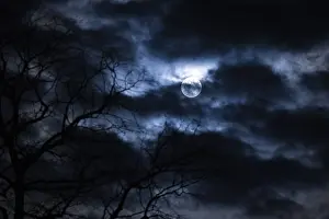 Cloudy Skies Europe Stampe: Branches and clouds in front of full moon