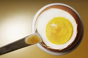 Fried Egg Nutrition Facts Stampe: Breakfast egg