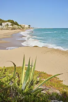 Catalan Shoreline Stampe: Breaking waves on a sandy beach