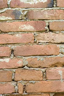 Full Frame Brick Image Stampe: Brick wall