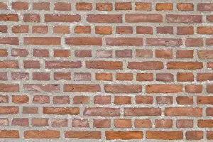 Deserted Brick Walls Stampe: Brickwall