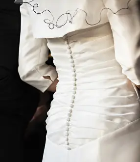 Wedding Celebration Images Stampe: Back of a bride