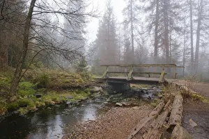 Protected Area In Germany Stampe: Bridge at the Oderteich, Nebel
