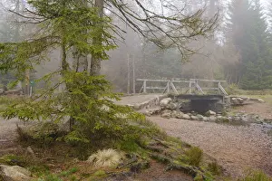 Protected Area In Germany Stampe: Bridge at the Oderteich, Nebel