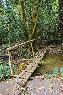 Stampe di Ponte su un piccolo corso d'acqua, foresta pluviale, cascate di Tat Kuang Si, Luang Prabang, provincia di Luang Prabang, Laos Laos Stampe: Ponte sopra un piccolo corso d'acqua, foresta pluviale.
