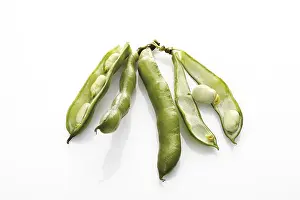 Vegetable Still Life Photography Stampe: Broad beans