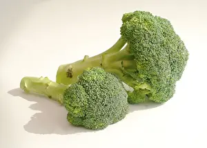Natural Nutrition Source Stampe: Broccoli