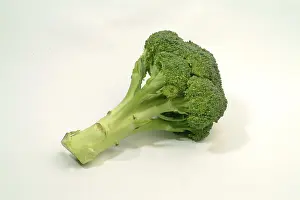 Close Up Broccoli Stampe: Broccoli