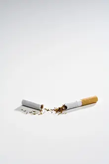 Tobacco Plant Stampe: Broken cigarette split into two, split in half