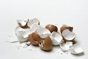 Empty Bowl Photography Stampe: Broken eggshells