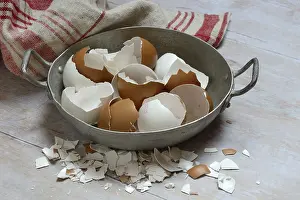 Studio Shot Eggs Stampe: Broken eggshells in shells