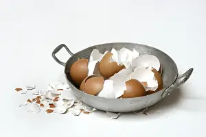 Plain Colored Background Photoshoots Stampe: Broken eggshells in shells