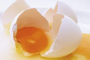 Studio Still Life Stampe: Broken open egg